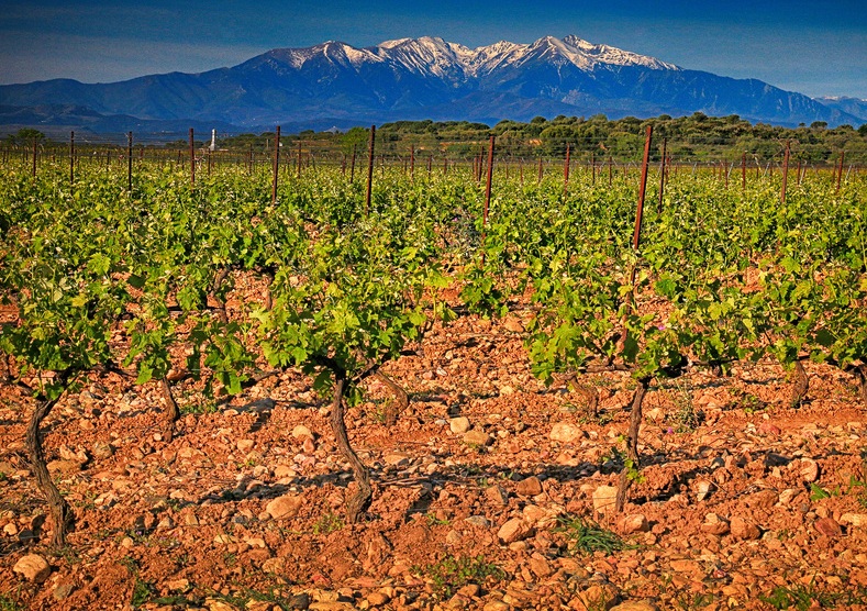 Vài nét về nhà máy rượu Chateau Rombeau